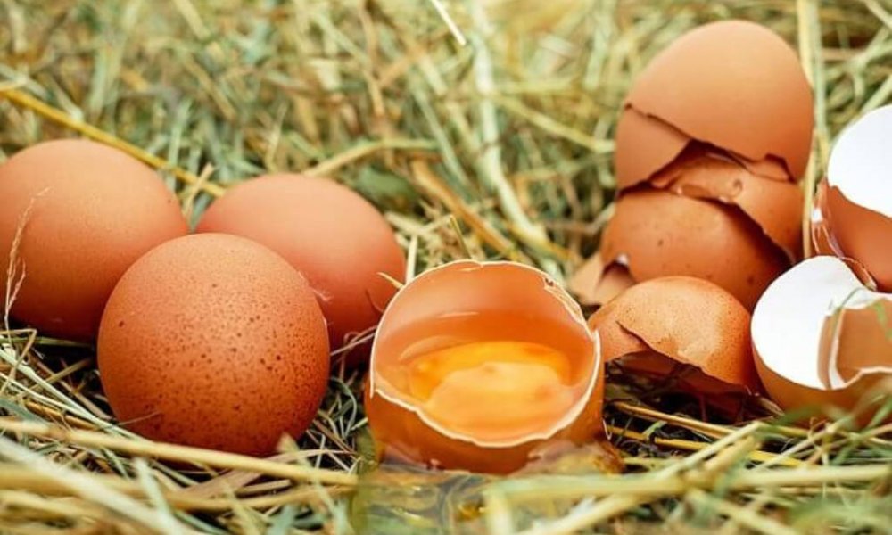 Yumurtanın Taze veya Bayat Olup Olmadığı Nasıl Anlaşılır?