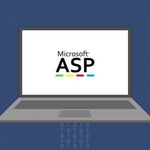 ASP Access Veritabanında Bir Sütundaki Verileri Toplamak