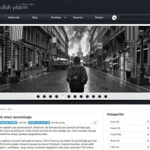 Kişisel web sitesi scripti (asp)